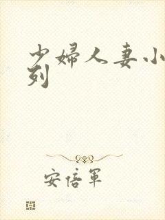 少妇人妻小说系列