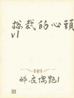 总裁的心头宝1v1