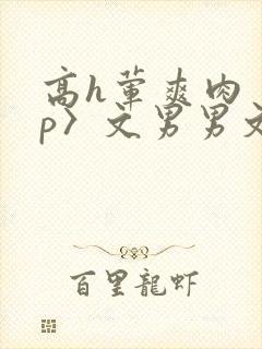 高h荤爽肉〈np〉文男男文