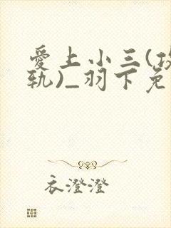 爱上小三(攻出轨)_羽下免费阅读小说
