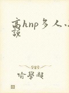 高hnp多人小说
