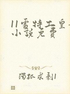 11处特工皇妃小说免费