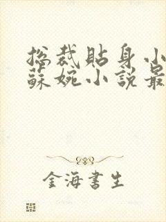 总裁贴身小秘书苏婉小说最新章节更