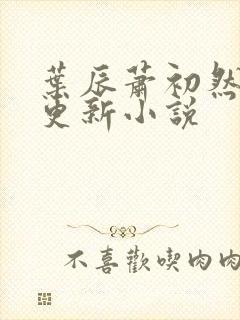 叶辰萧初然免费更新小说