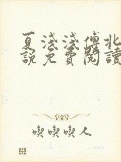 夏浅浅傅北宸小说免费阅读最新章节