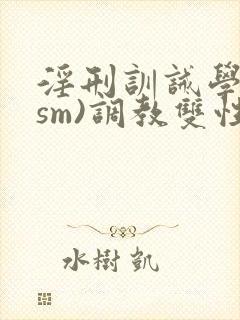 淫刑训诫学校(sm)调教双性