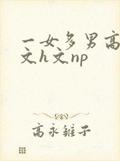 一女多男高辣h文h文np