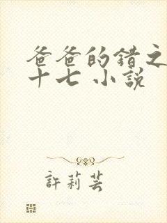 爸爸的错之女儿十七 小说