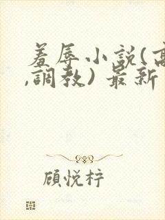 羞辱小说(高h,调教) 最新章节