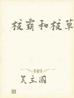 校霸和校草封面