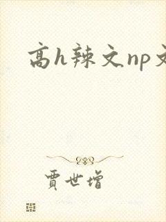 高h辣文np文