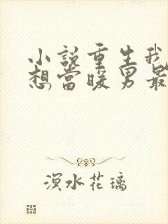 小说重生我真没想当暖男最新章节