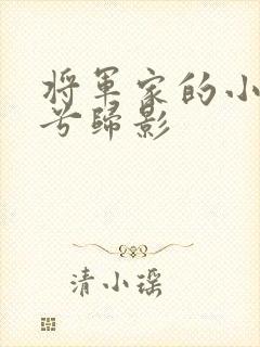 将军家的小娇妻兮归影