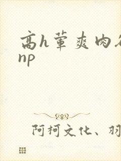 高h荤爽肉欲文np