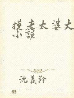 摸老太婆大乳房小说封面