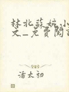 林北苏婉小说全文_免费阅读封面