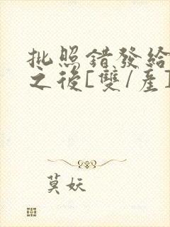 批照错发给情敌之后[双/产]