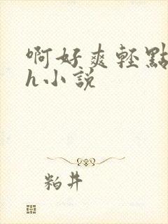 啊好爽轻点啊嗯h小说封面