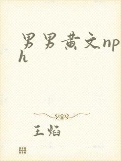 男男黄文np高h封面