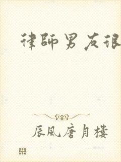 律师男友很难撩封面