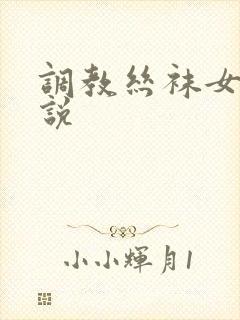 调教丝袜女奴小说封面