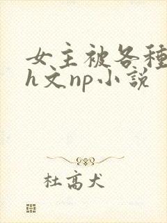 女主被各种调教h文np小说