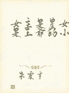 女主是农女男主是王爷的小说