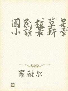 国民校草是女生小说最新章节