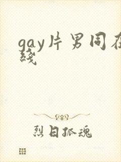 gay片男同在线