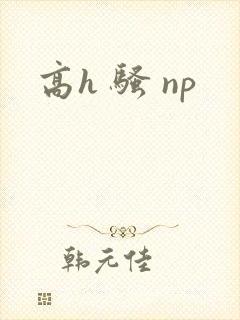 高h 骚 np