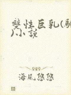 双性巨乳(骚受)小说