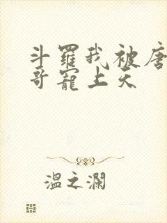 斗罗我被唐三哥哥宠上天