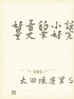 好看的小说高质量文笔好完结