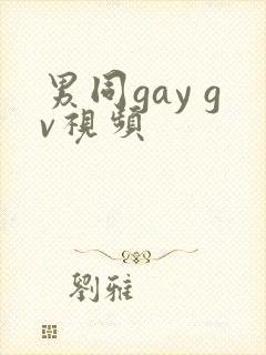 男同gay gv视频封面
