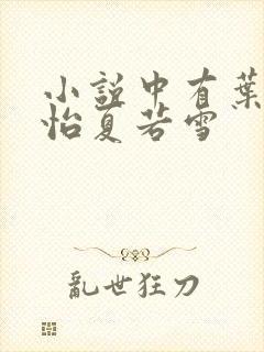 小说中有叶辰孙怡夏若雪封面