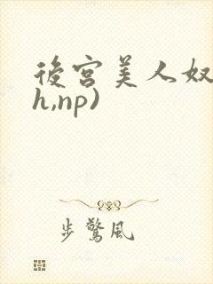 后宫美人奴(高h,np)