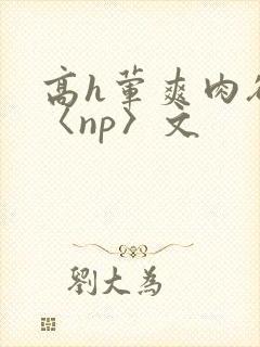 高h荤爽肉欲文〈np〉文
