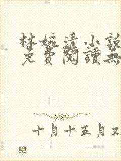 林婉清小说全文免费阅读无弹窗