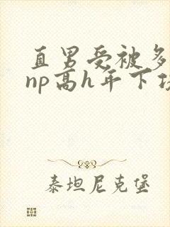 直男受被多攻强np高h年下攻封面