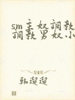 sm主奴调教:调教男奴小说