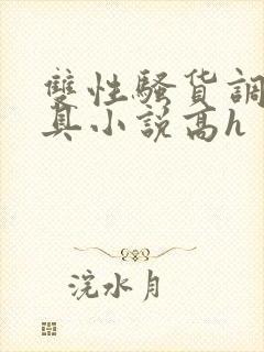 双性骚货调教道具小说高h