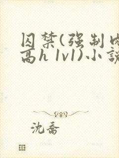 囚禁(强制肉 高h 1v1)小说封面