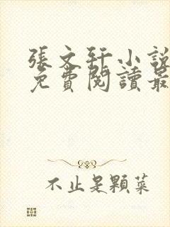 张文轩小说全文免费阅读最新章节