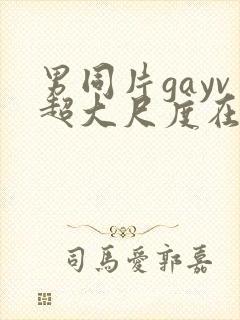 男同片gayv超大尺度在线观看网站