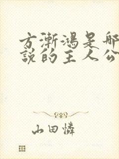 方渐鸿是哪部小说的主人公封面