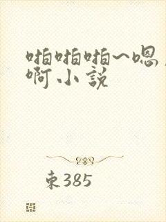 啪啪啪~嗯用~啊小说封面