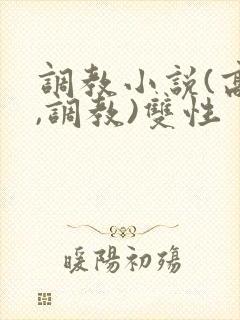 调教小说(高h,调教)双性