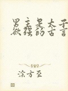 男主是太子占有欲强的古言