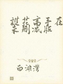 护花高手在都市未删减版