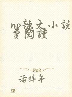 np辣文小说免费阅读封面
